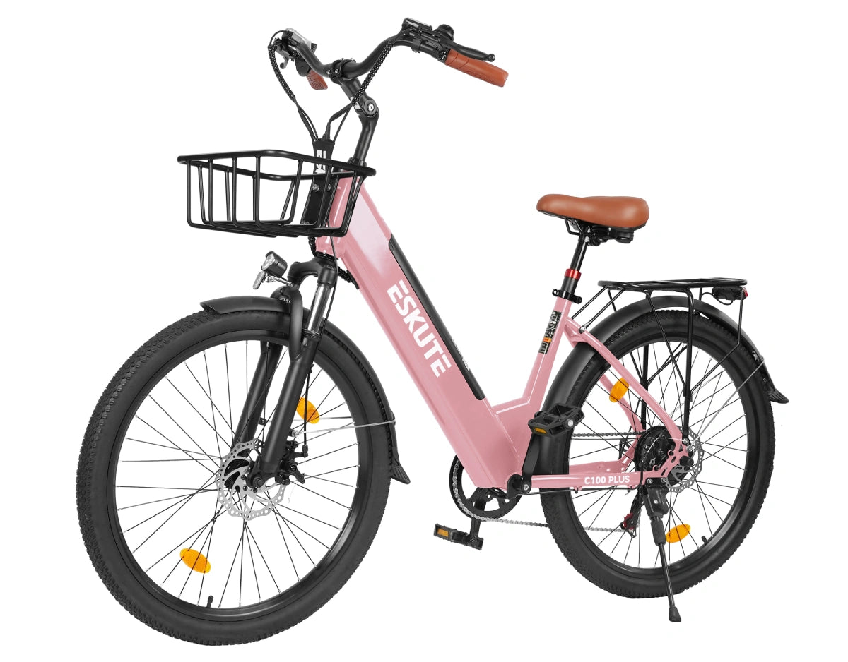 Eskute C100 Plus City E-Bike