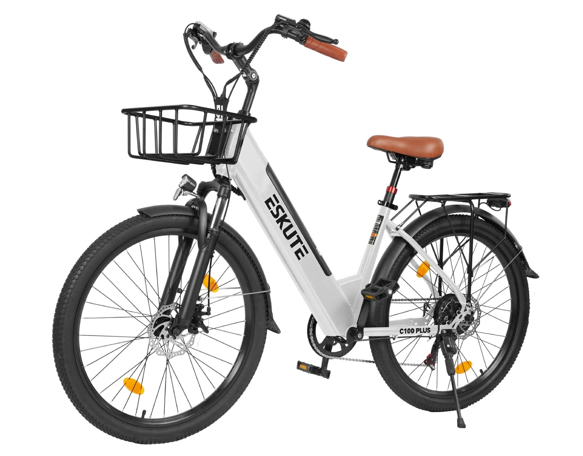 Eskute C100 Plus City E-Bike
