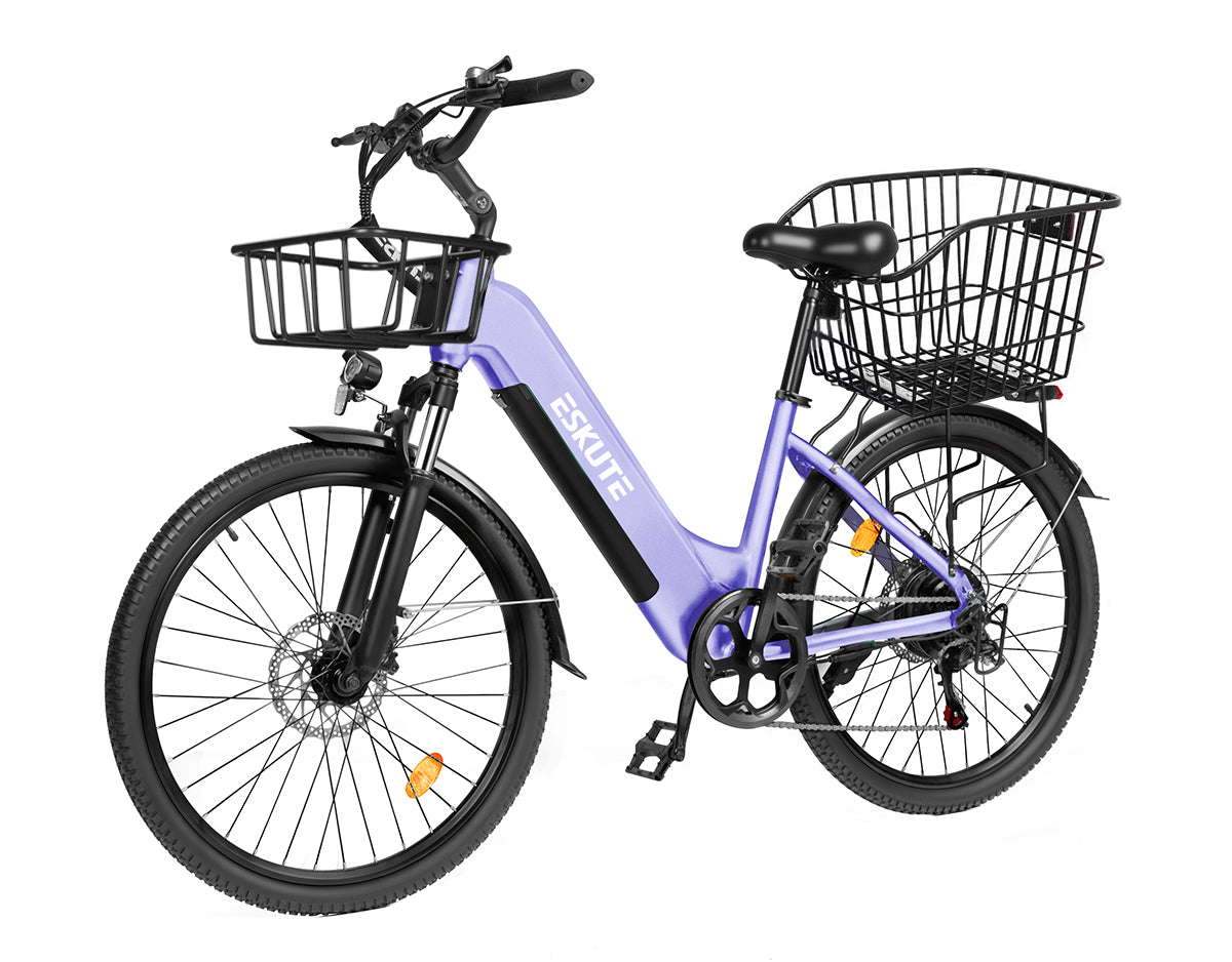 Eskute C202 City E-Bike