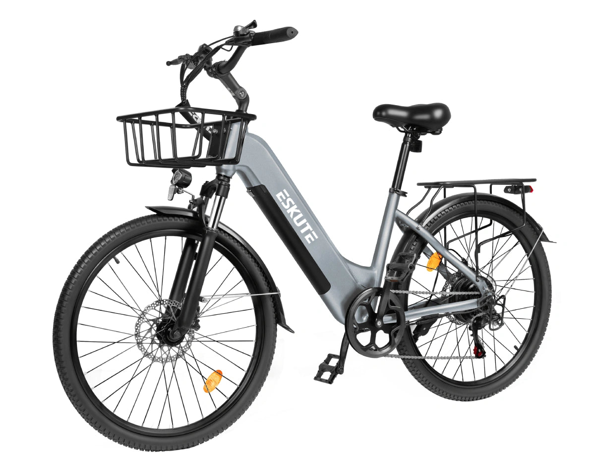 Eskute C202 City E-Bike