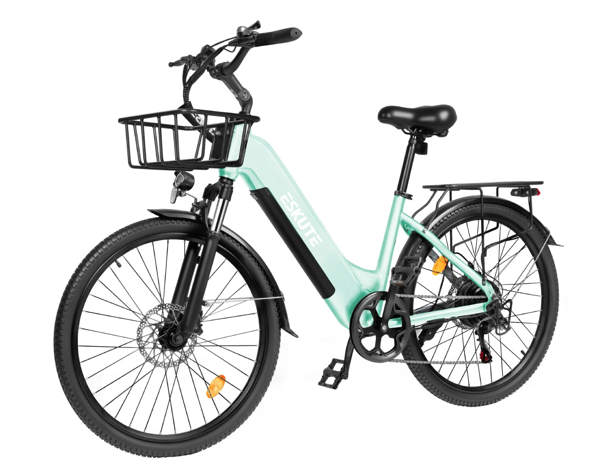 Eskute C202 City E-Bike
