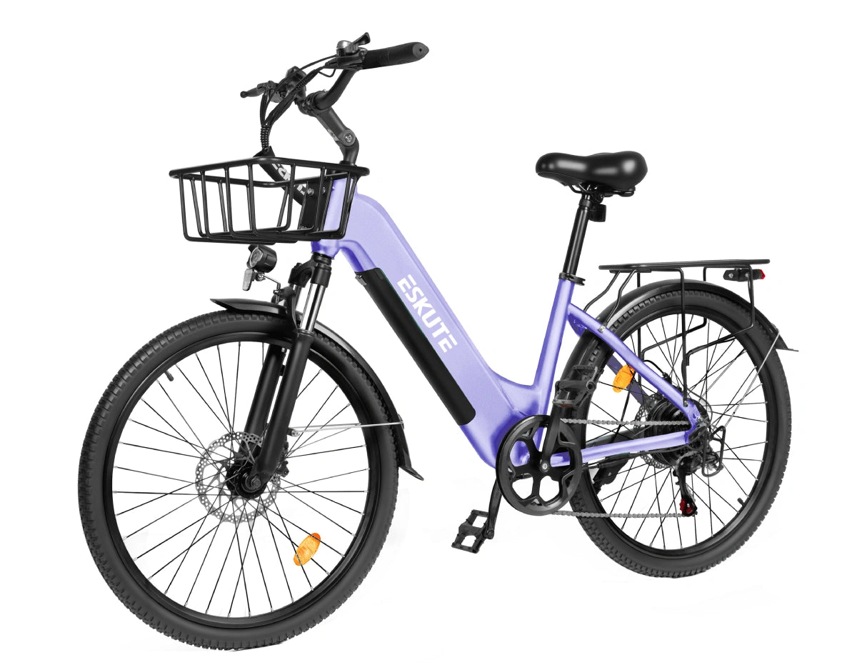 Eskute C202 City E-Bike