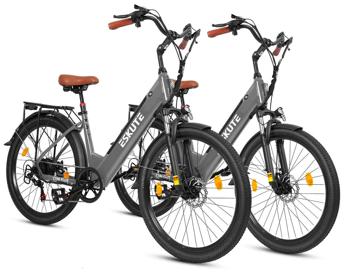 Eskute C100 Puls City E-Bike*2
