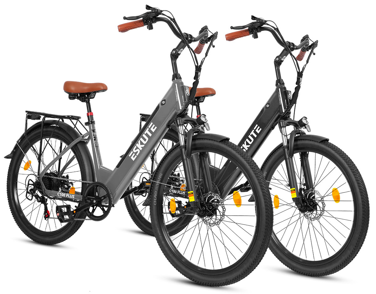 Eskute C100 Puls City E-Bike*2