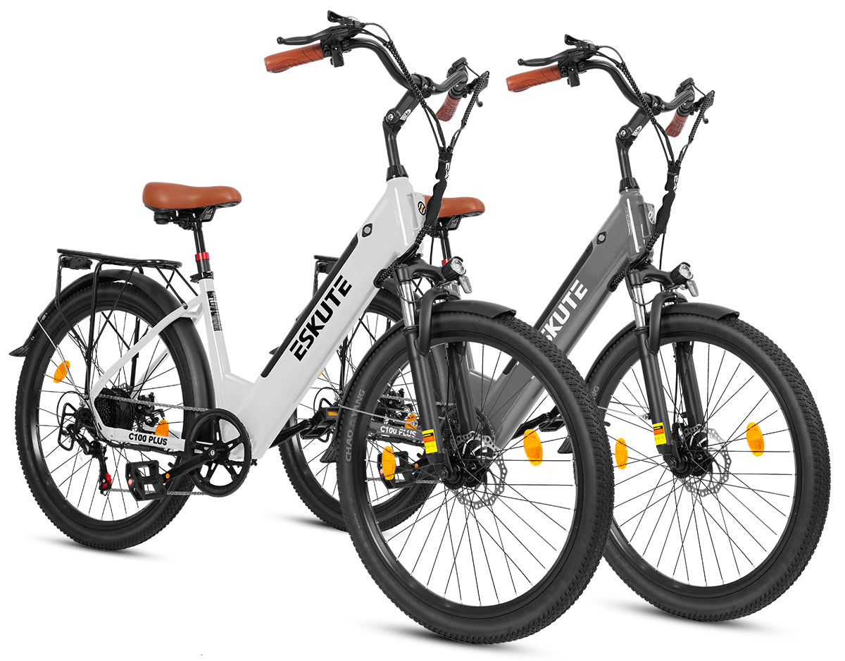 Eskute C100 Puls City E-Bike*2