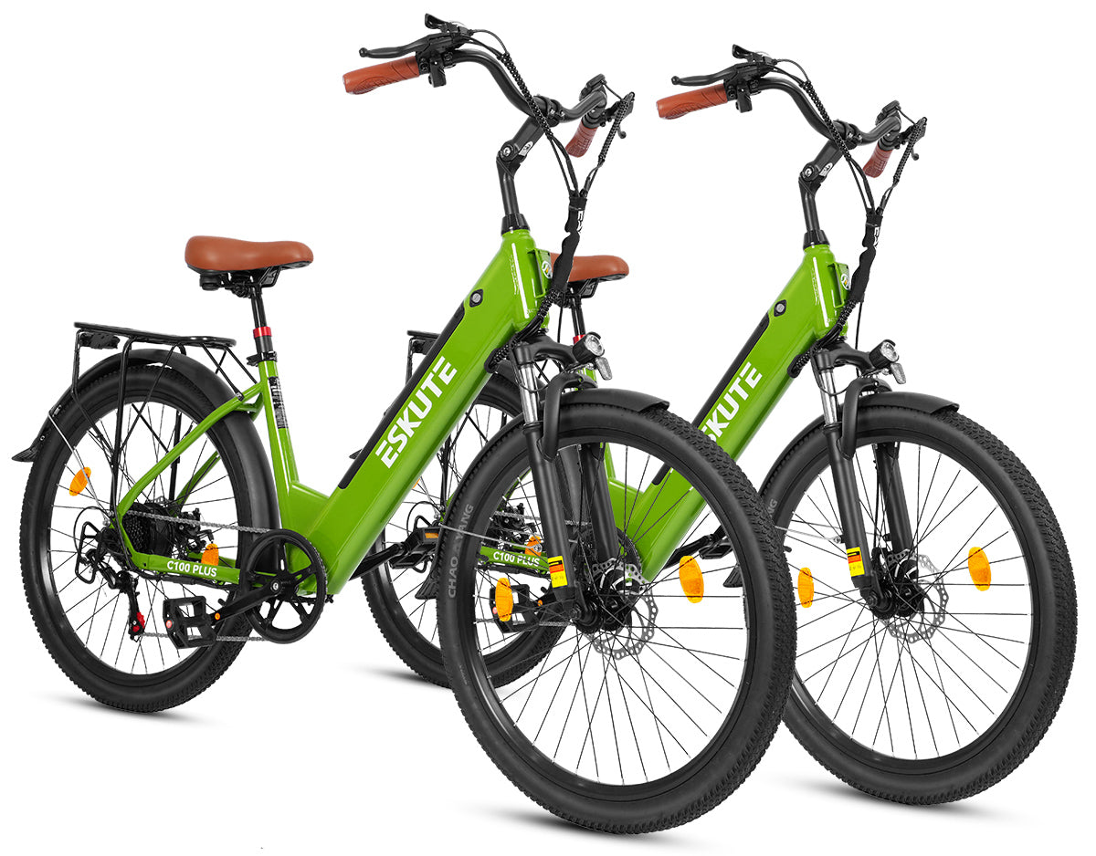 Eskute C100 Puls City E-Bike*2
