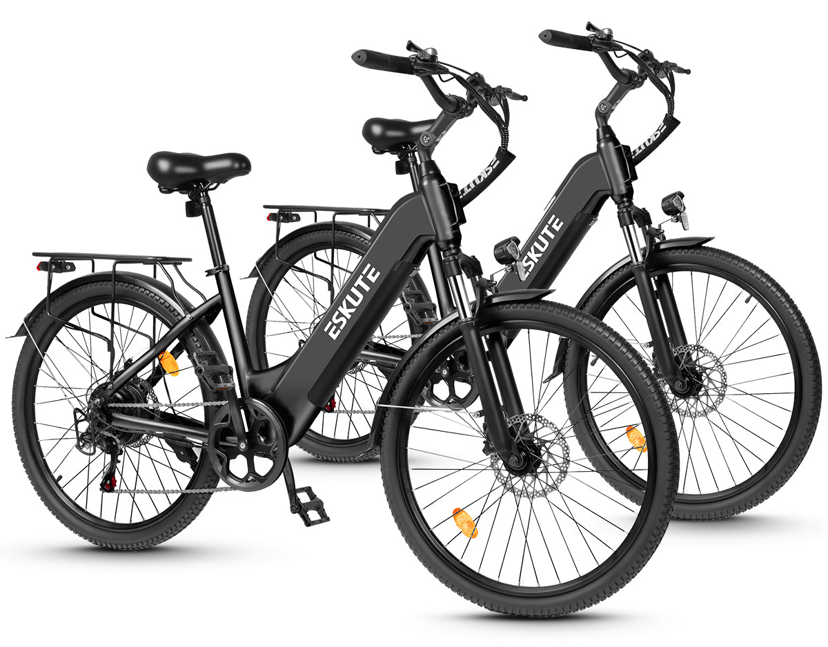 Eskute C202 City-E-Bike*2
