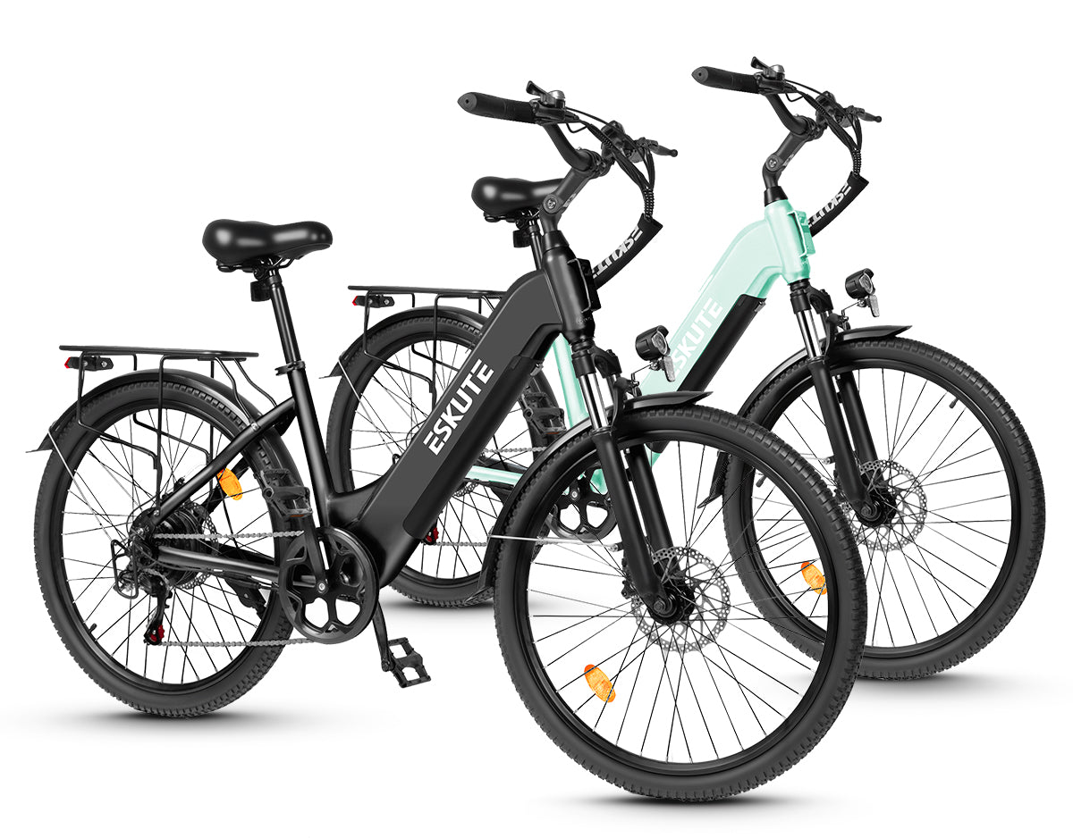 Eskute C202 City-E-Bike*2