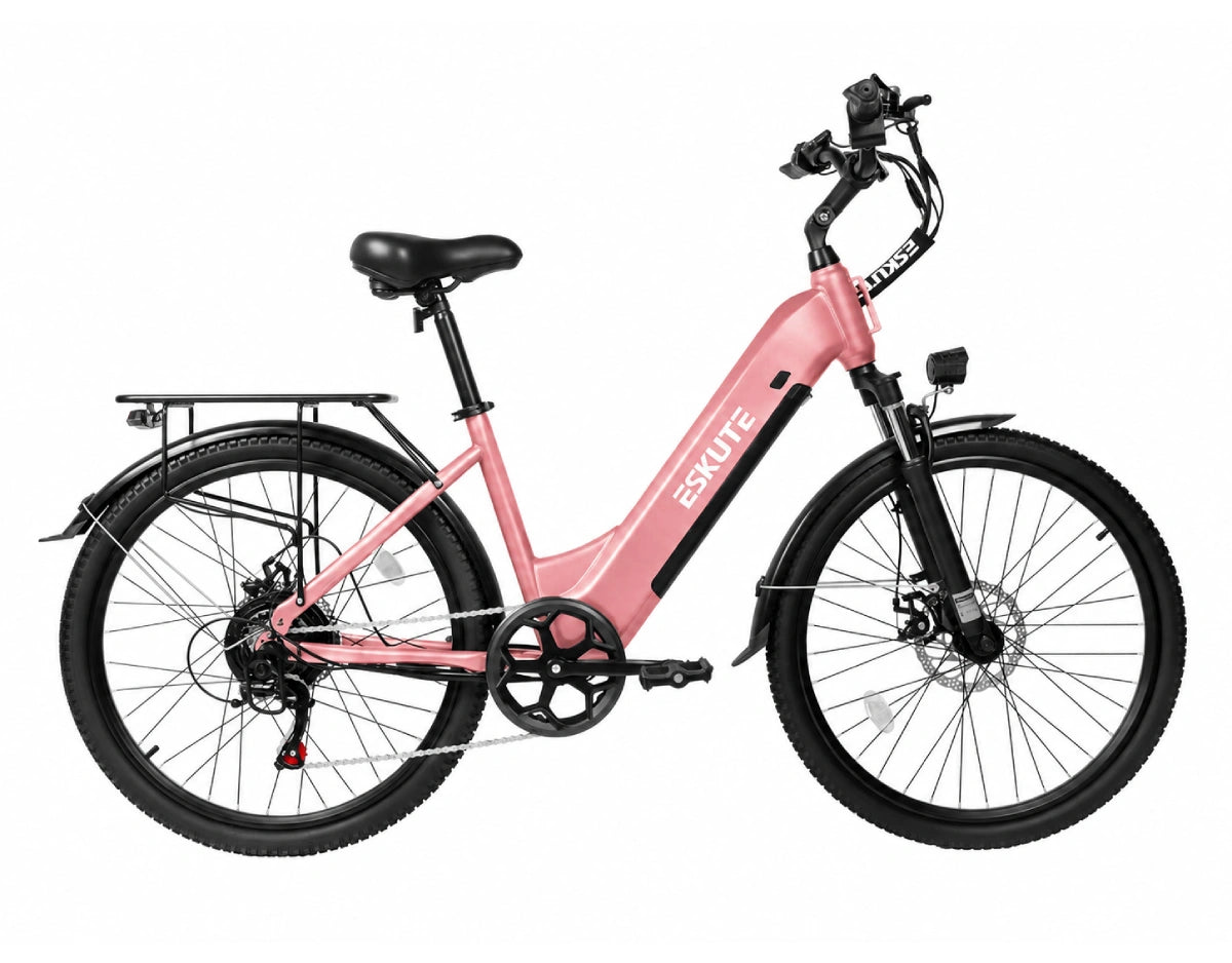 Eskute C202 City-E-Bike