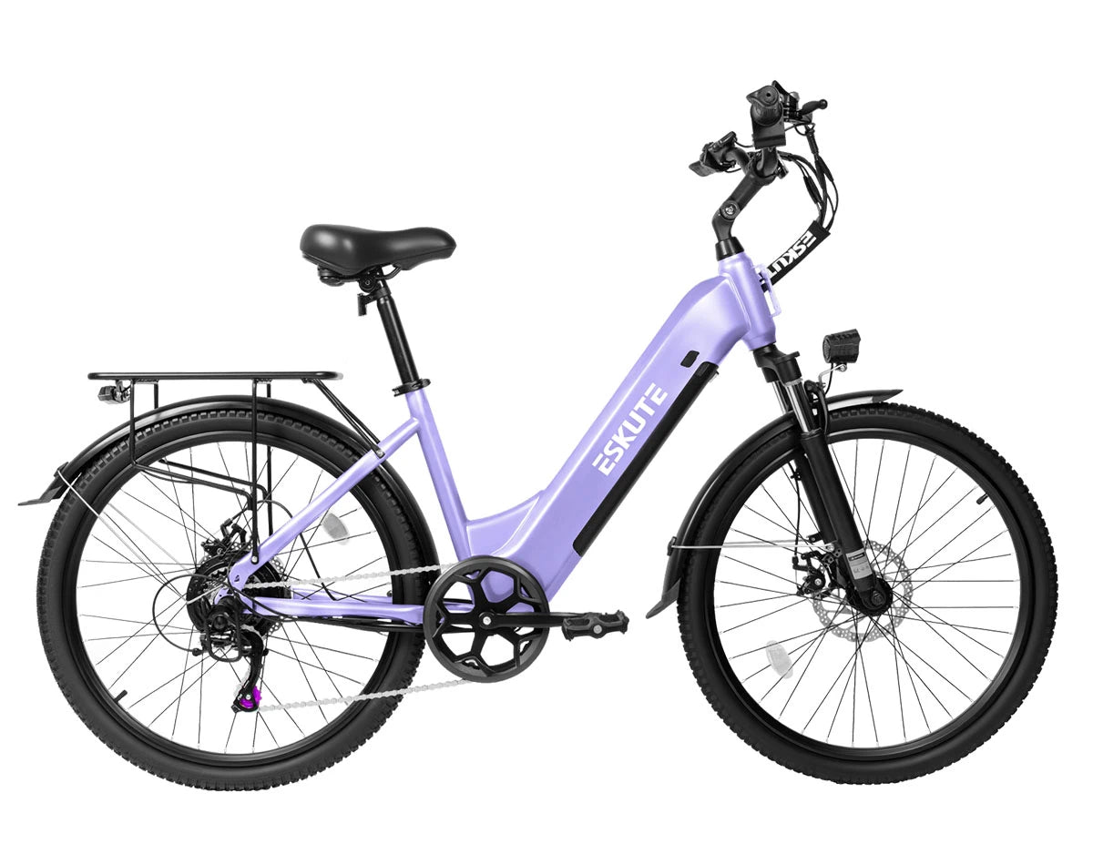Eskute C202 City E-Bike