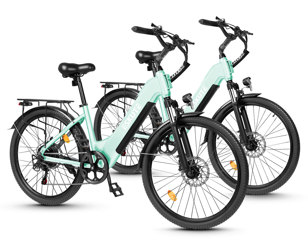 Eskute C202 City-E-Bike*2