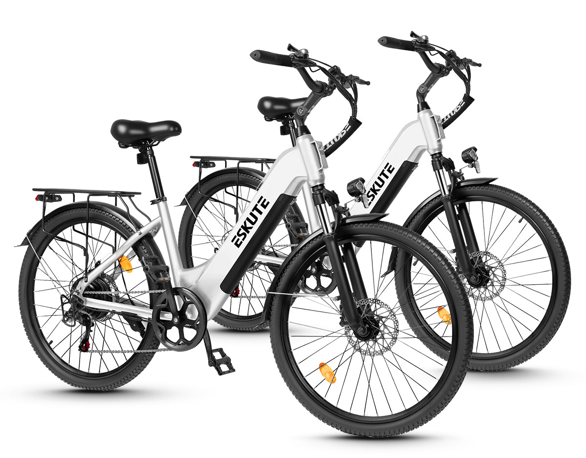 Eskute C202 City-E-Bike*2