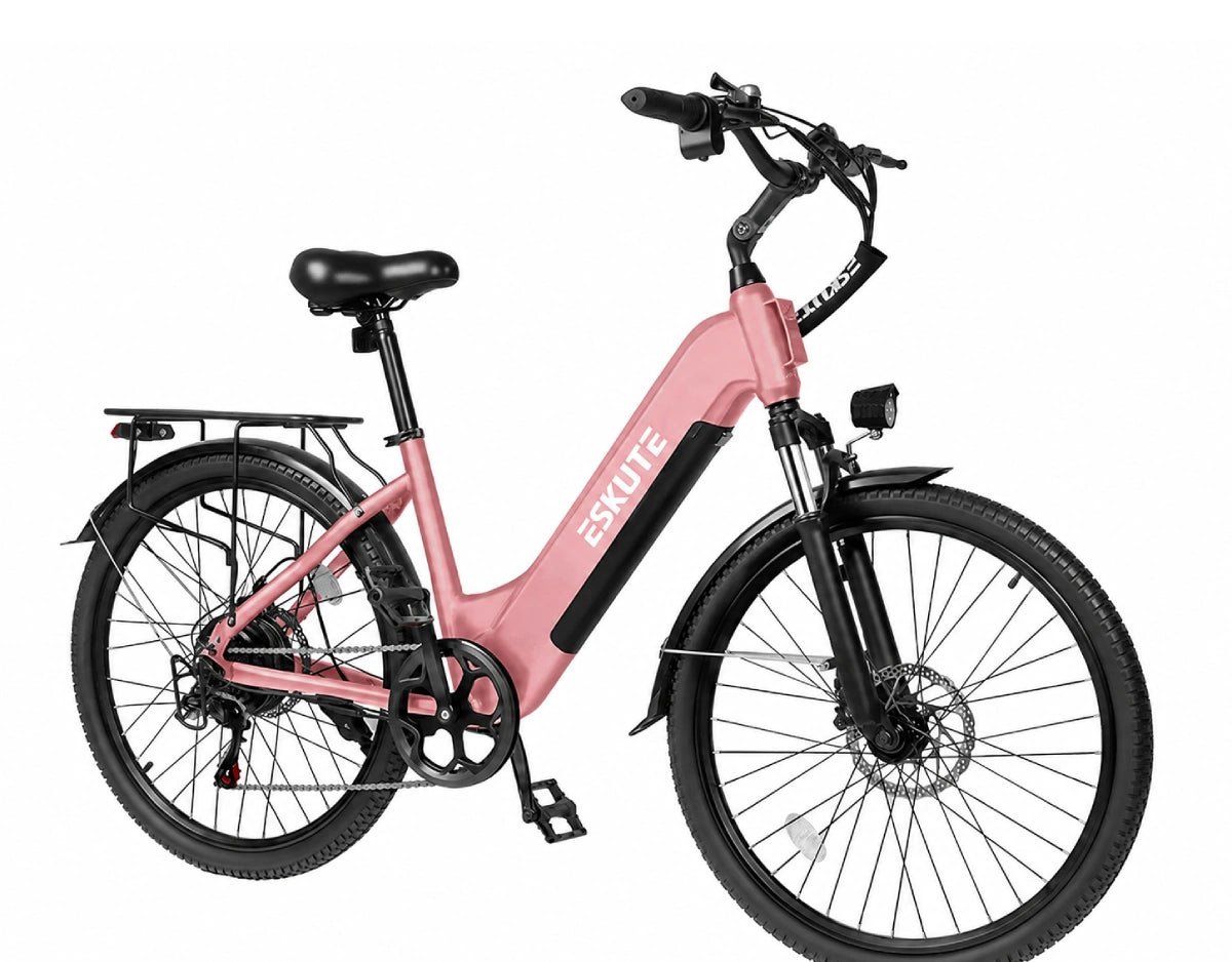Eskute C202 City-E-Bike