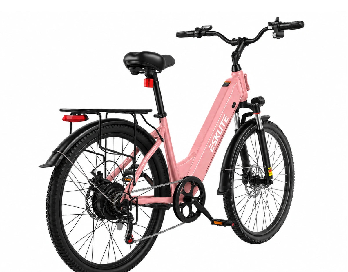 Eskute C202 City-E-Bike