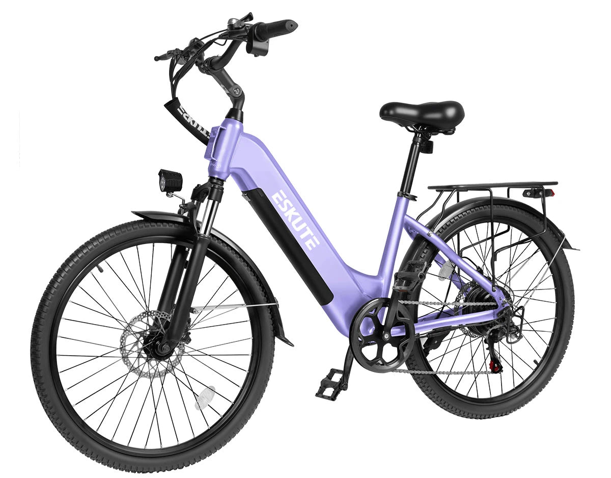 Eskute C202 City-E-Bike