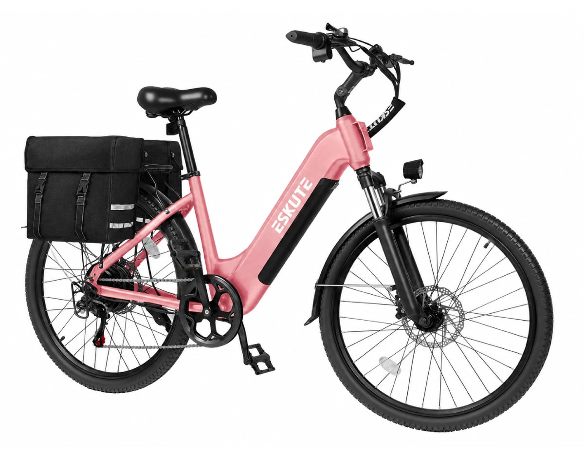 Eskute C202 City E-Bike