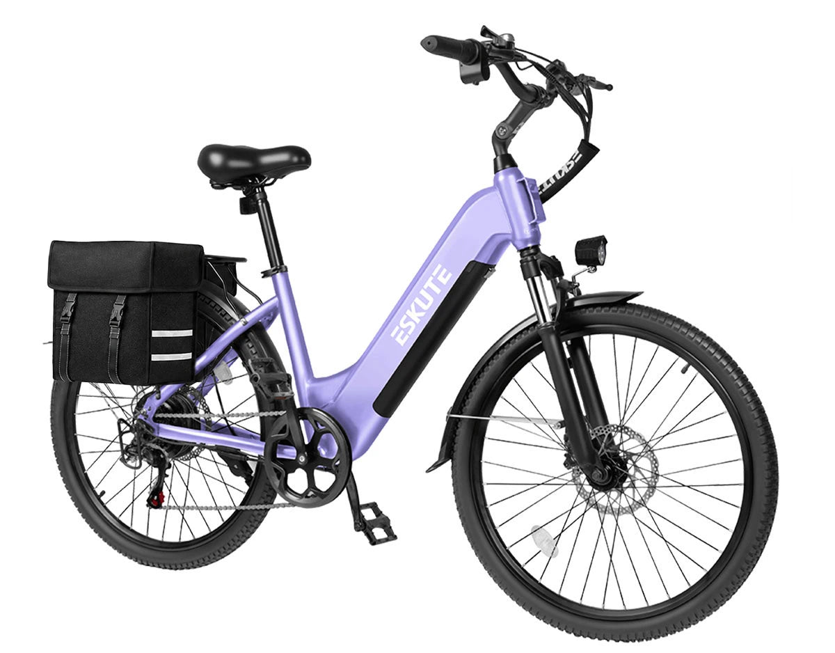 Eskute C202 City E-Bike
