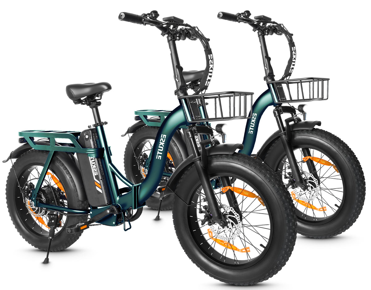 Eskute D202 Klapp-E-Bike in Grün und Grün