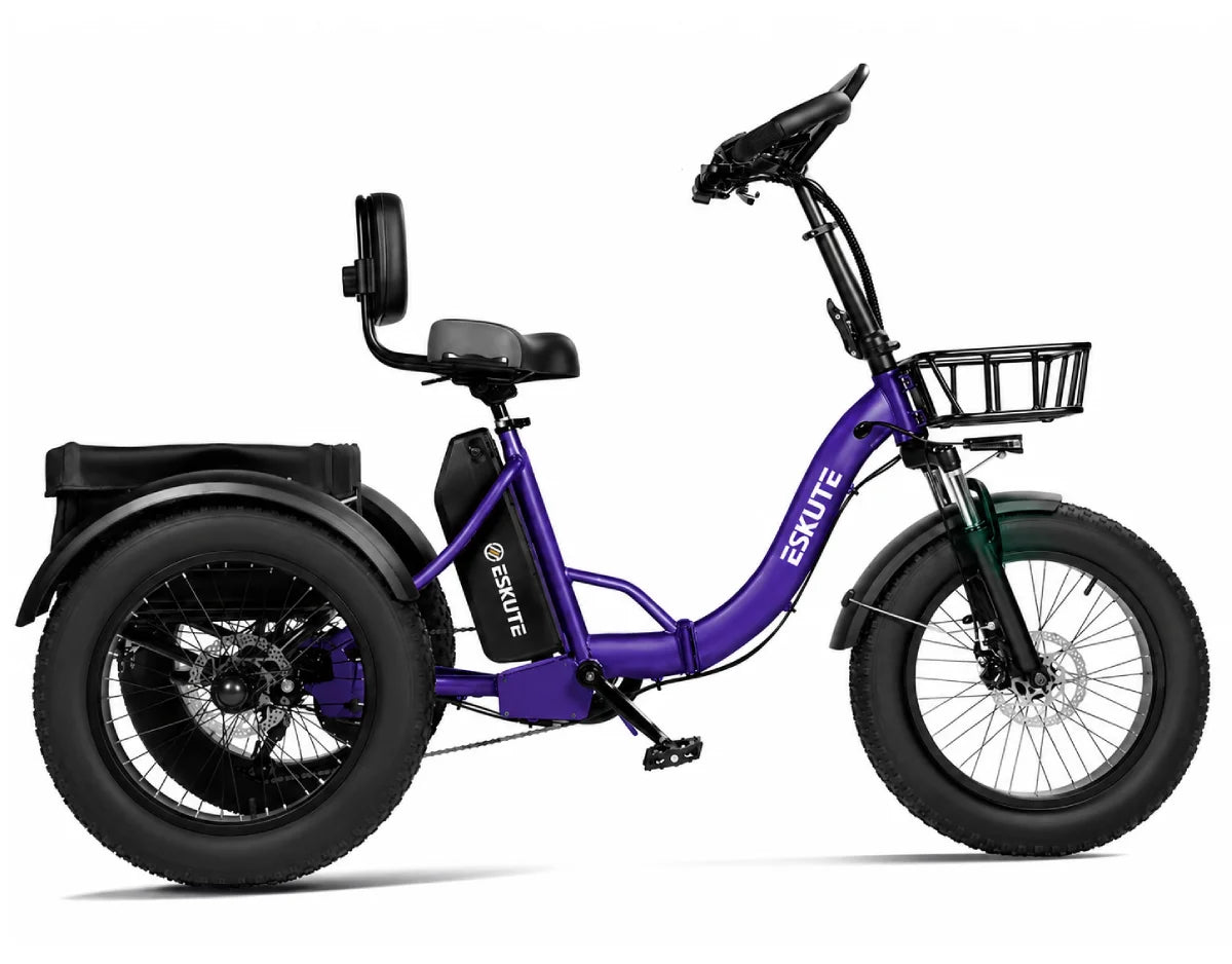 Eskute T302 Pro Cargo E-Bike