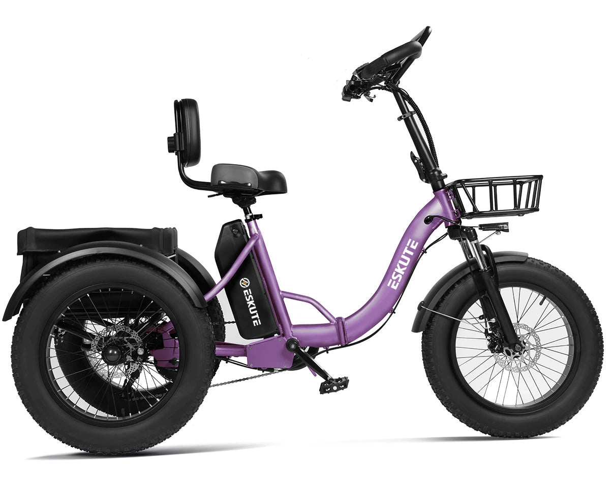 Eskute T302 Pro Cargo E-Bike