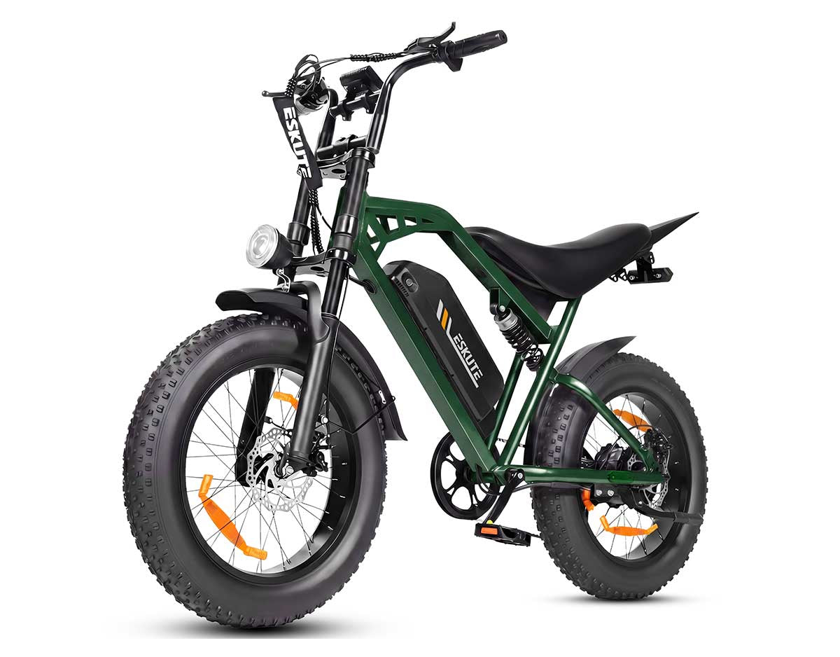Eskute V202 Retro E-Bike