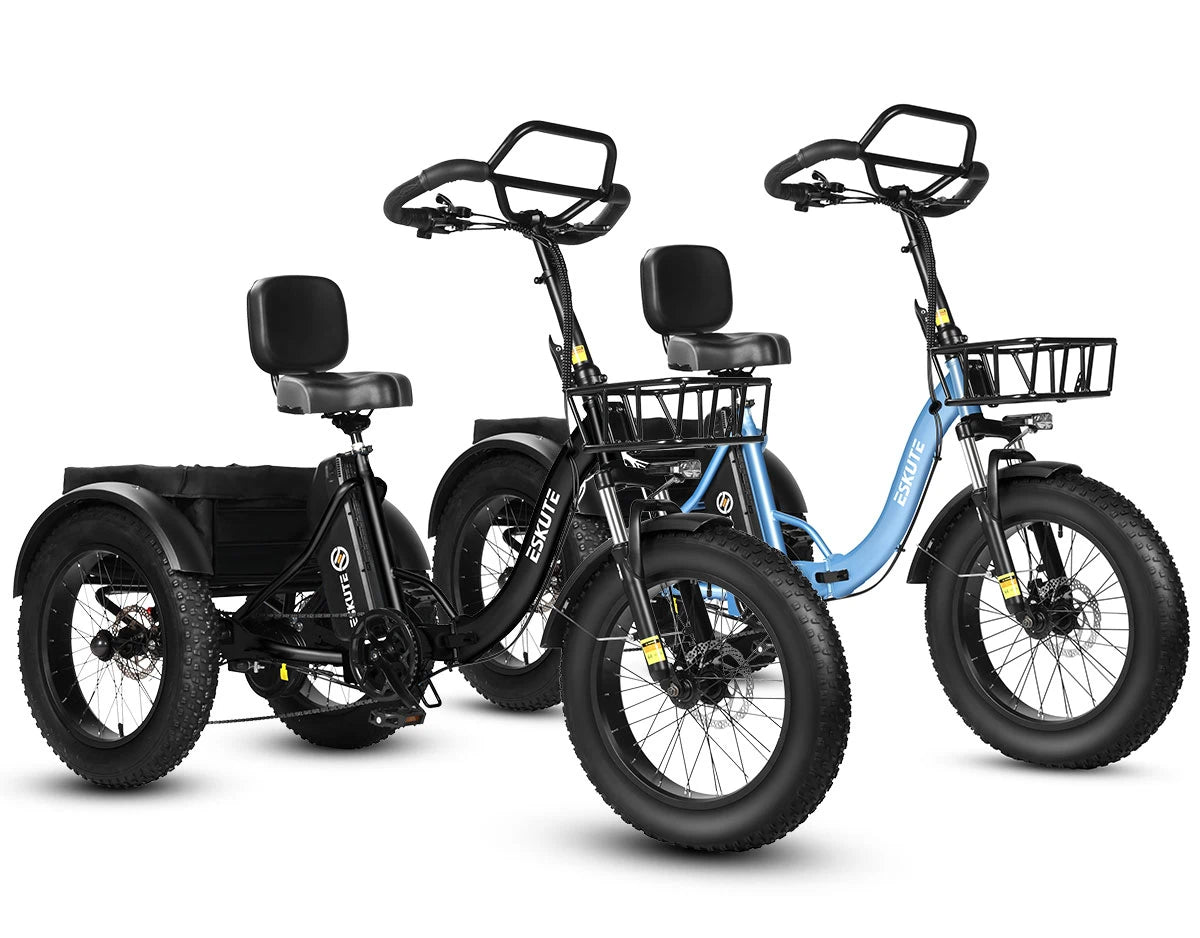 Eskute T302 Pro Cargo E-Bike *2