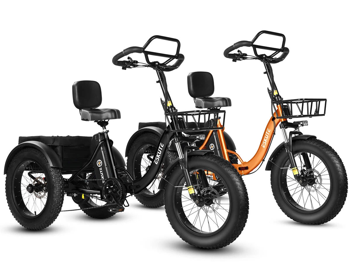 Eskute T302 Pro Cargo E-Bike *2