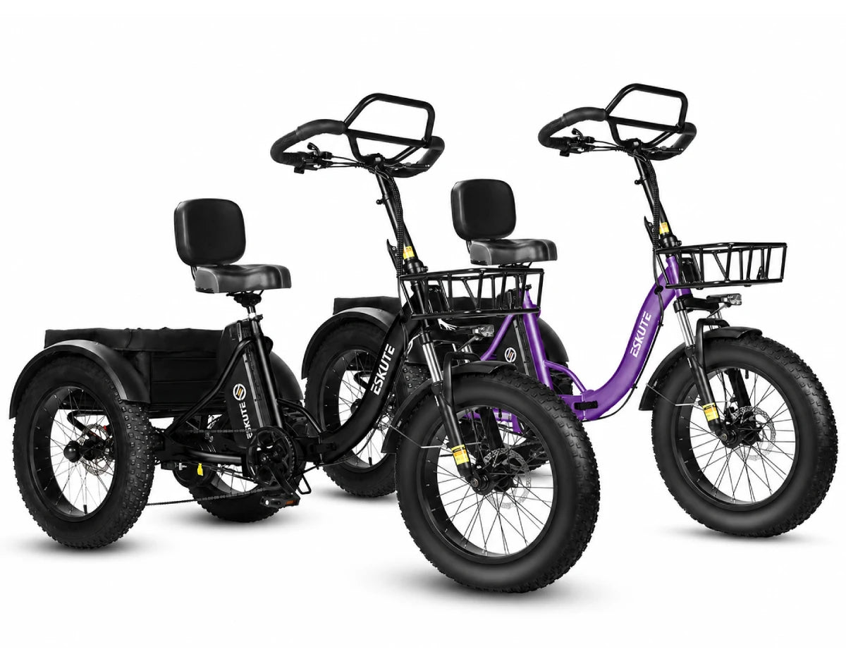 Eskute T302 Pro Cargo E-Bike *2