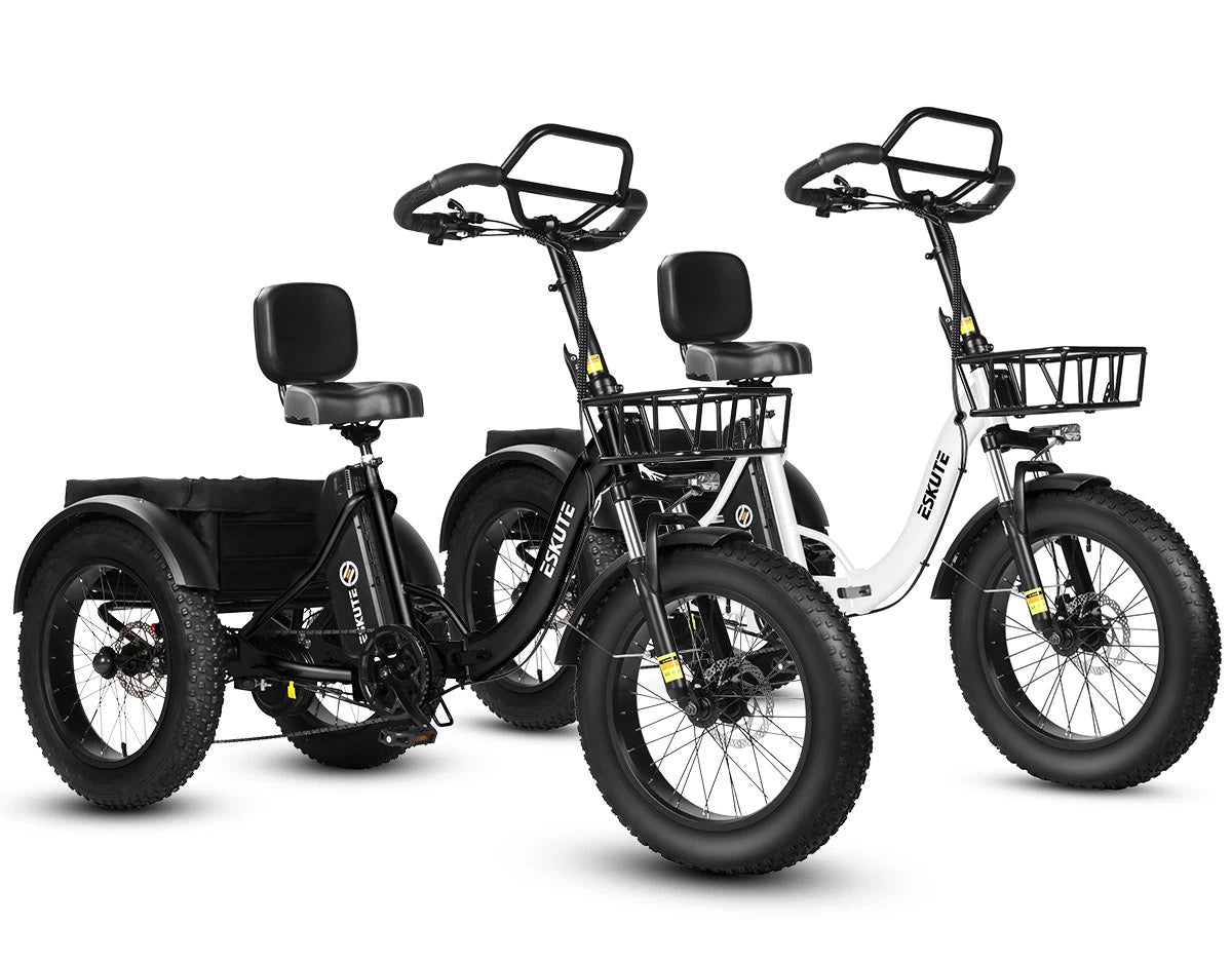 Eskute T302 Pro Cargo E-Bike *2