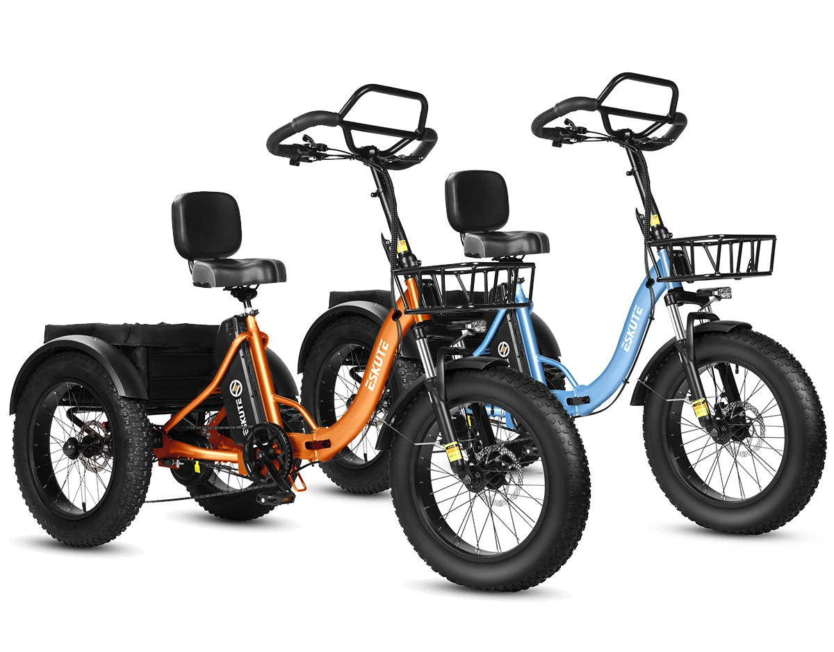 Eskute T302 Pro Cargo E-Bike *2