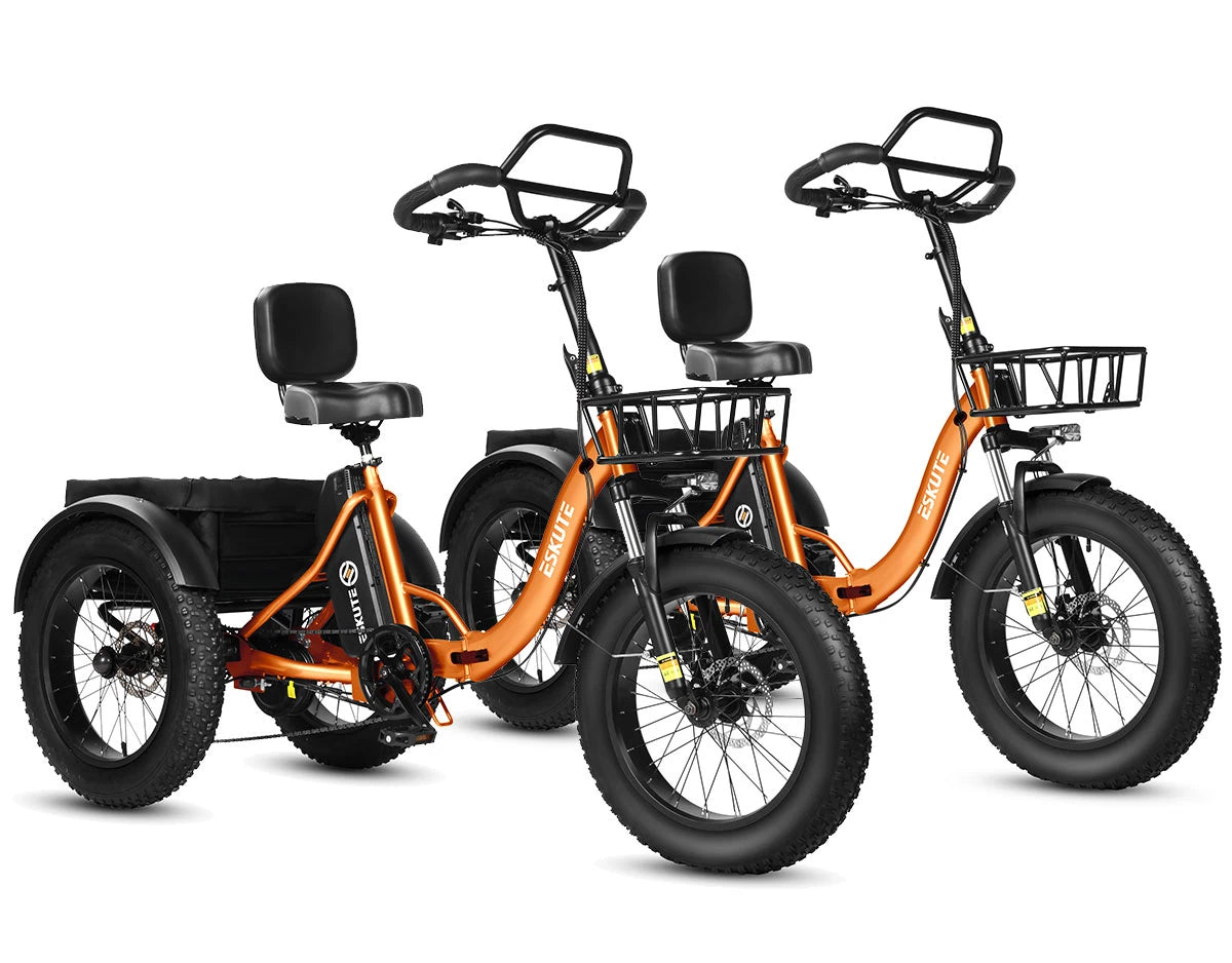 Eskute T302 Pro Cargo E-Bike *2