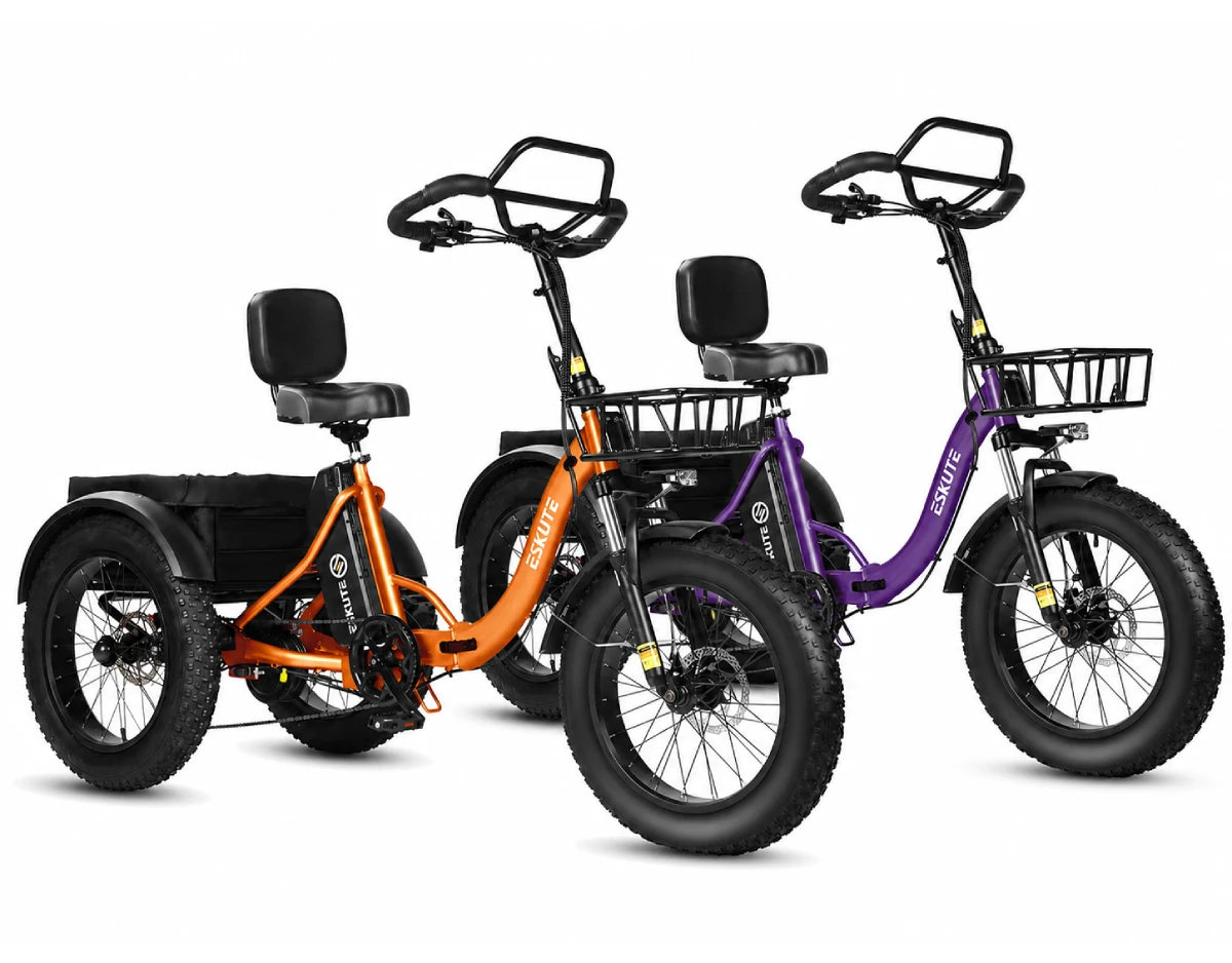 Eskute T302 Pro Cargo E-Bike *2