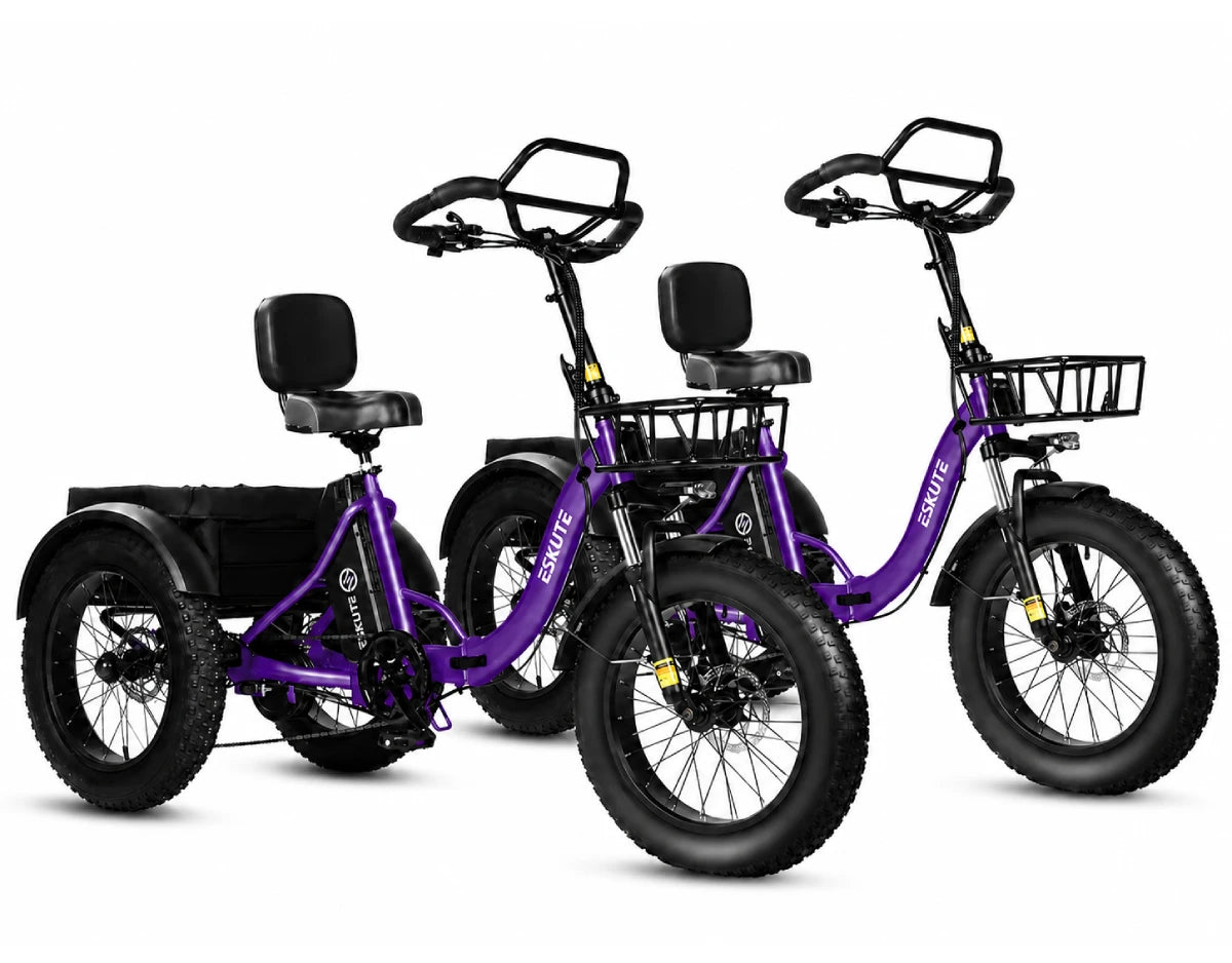 Eskute T302 Pro Cargo E-Bike *2