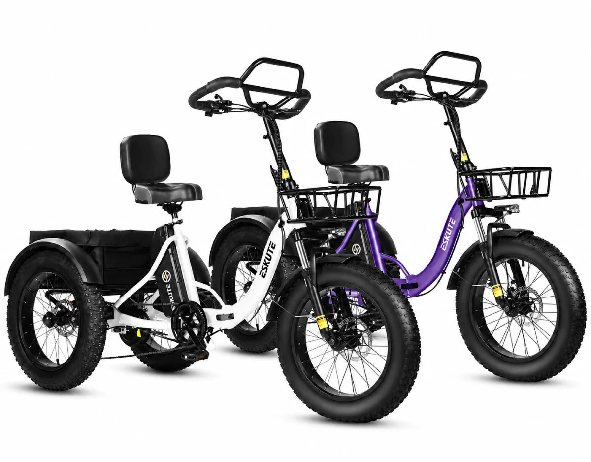Eskute T302 Pro Cargo E-Bike *2