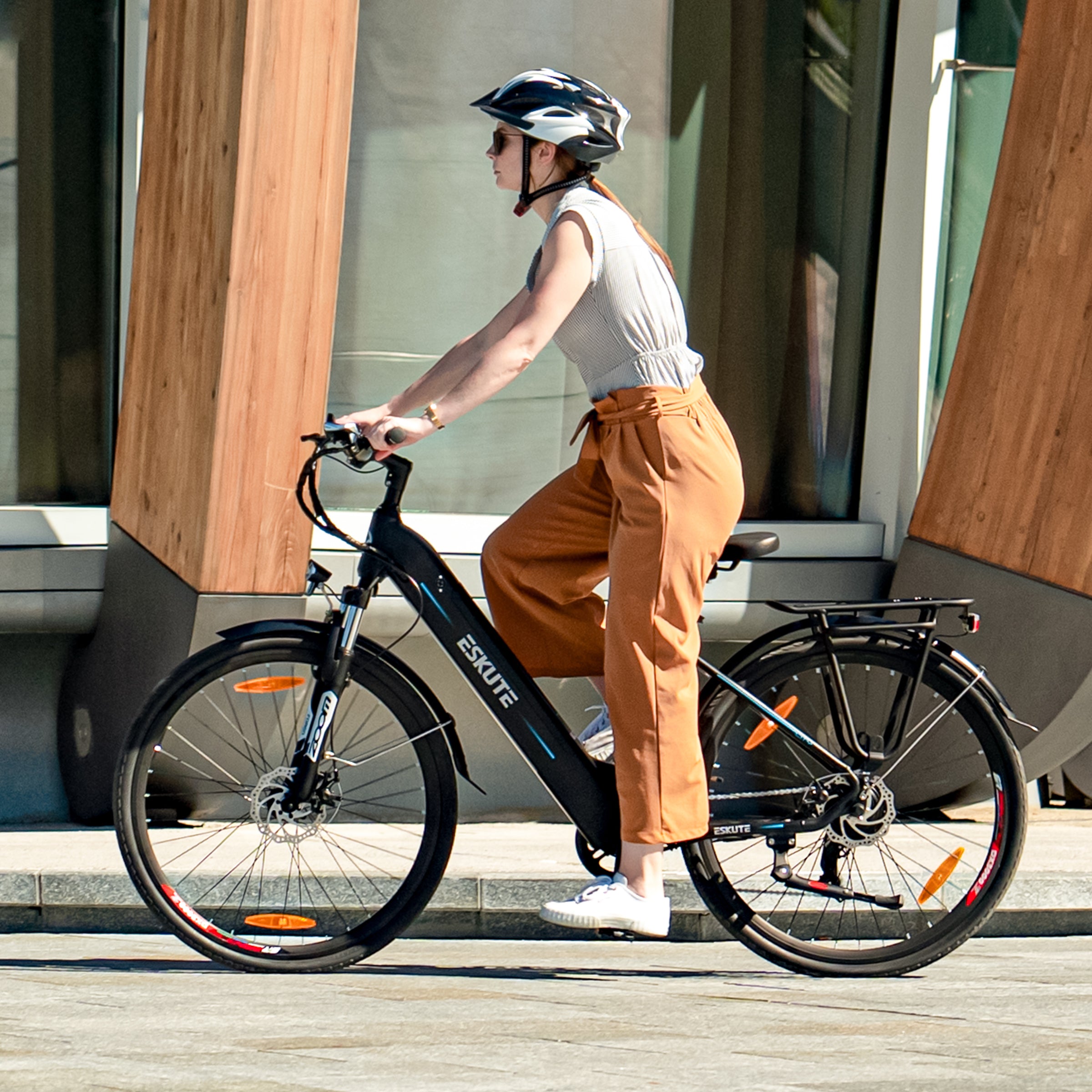 City Pedelec mit Nabenmotor 250W