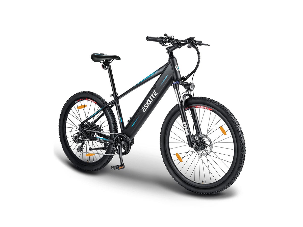 Voyager E-Mountainbike Gebrauchtes E-Bike 450Wh 80km Reichweite