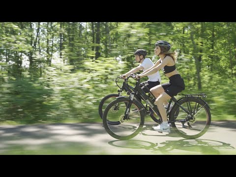 Wayfarer E-Bike Citybike 7 Gang Schaltwerk