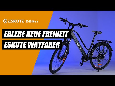 Wayfarer E-Bike Citybike 7 Gang Schaltwerk